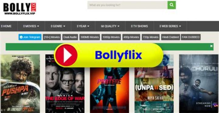 Bollyflix: Your Guide to Bollywood & Beyond [2024 Updates]