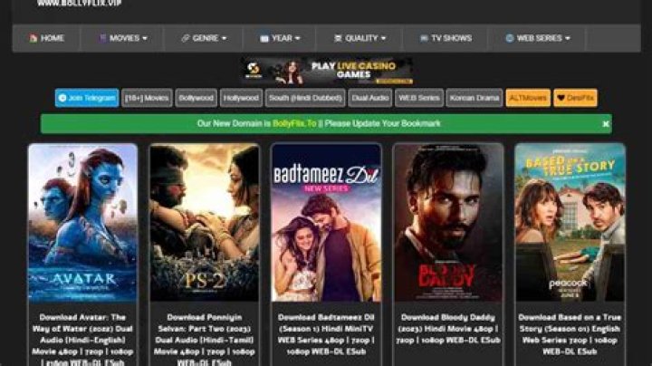 Bollywood Updates: Get Bollyflix VIP News in Your Inbox!