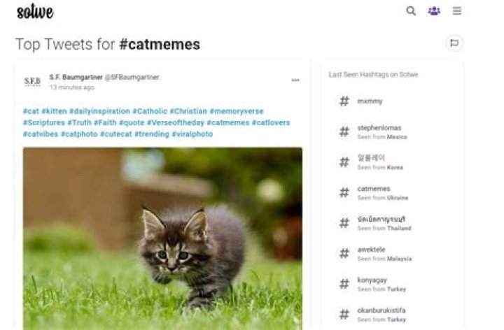 Sotwe: Explore Twitter Content Without an Account & More!