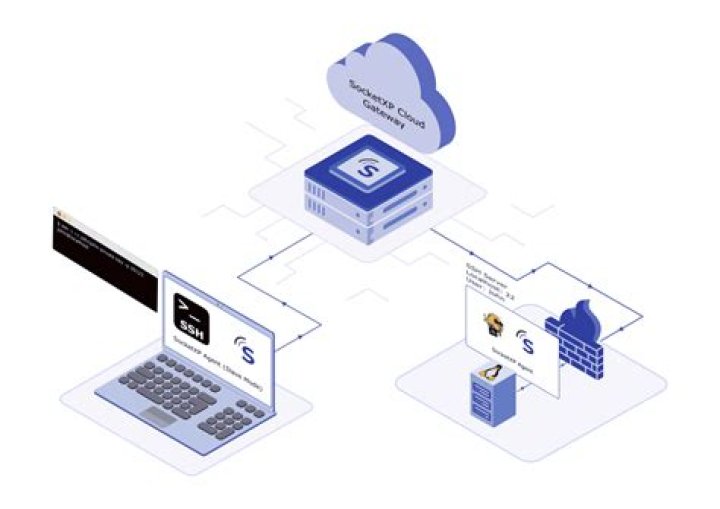 SSH into IoT Devices: A Secure Guide to Remote Access
