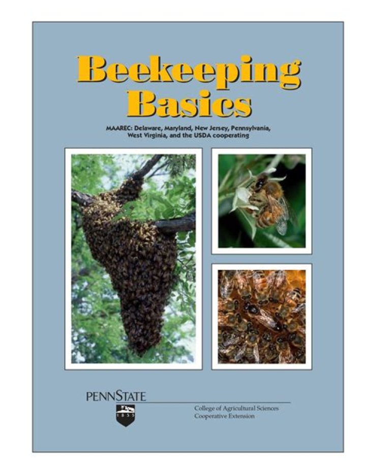 Unveiling the Fascinating World of Bees: A Comprehensive Guide